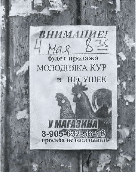 Повседневная жизнь русского путешественника в эпоху бездорожья i_057.jpg