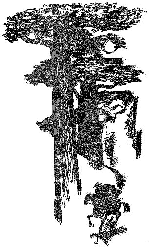 Мария pic_3.png