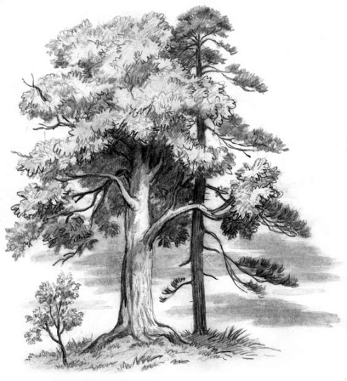 Рассказы и сказки (сборник) i_027.jpg