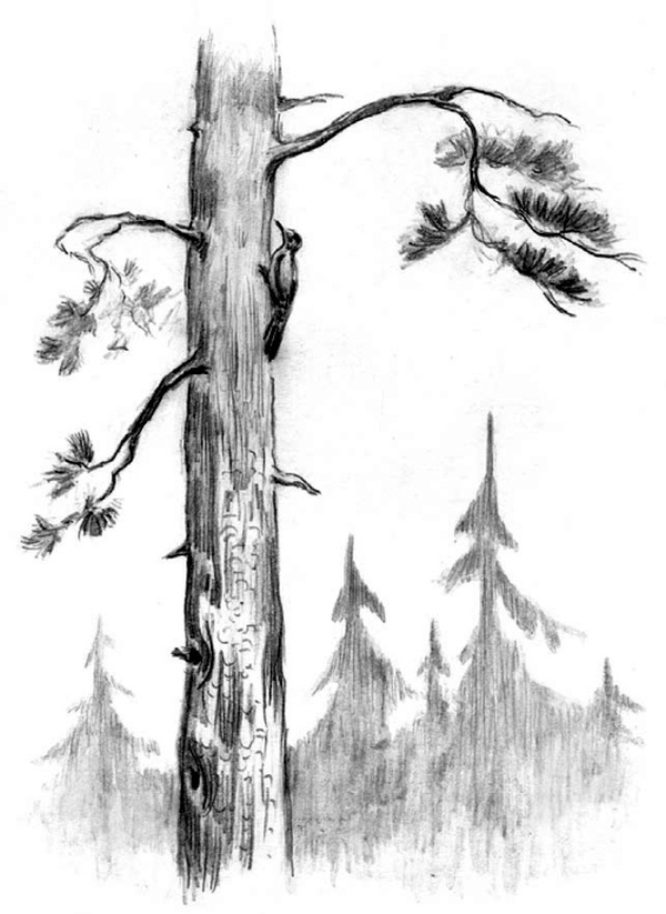 Рассказы и сказки (сборник) i_028.jpg