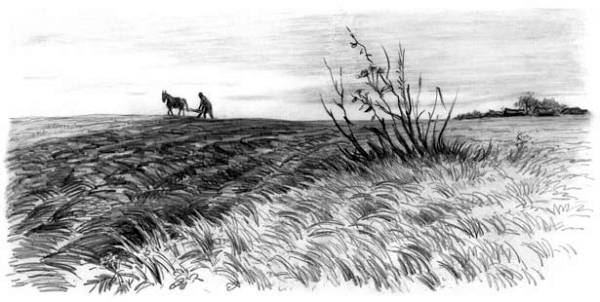 Рассказы и сказки (сборник) i_034.jpg