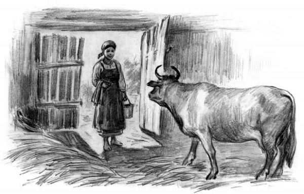 Рассказы и сказки (сборник) i_039.jpg