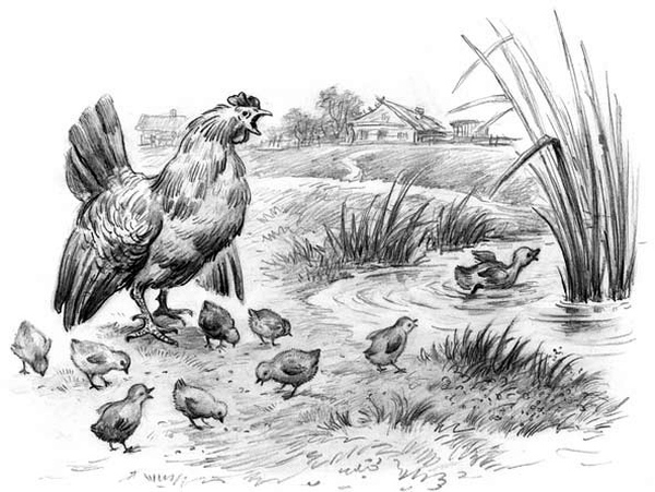 Рассказы и сказки (сборник) i_046.jpg