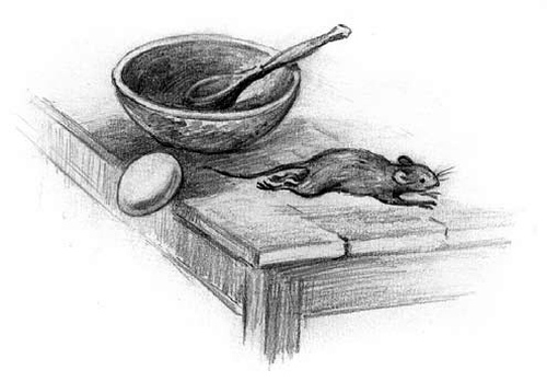 Рассказы и сказки (сборник) i_061.jpg