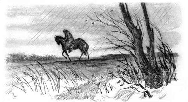 Рассказы и сказки (сборник) i_016.jpg