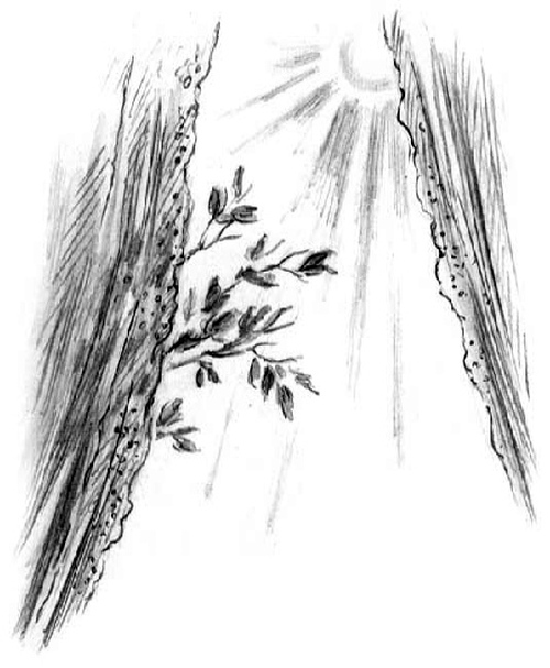 Рассказы и сказки (сборник) i_017.jpg