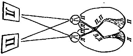 Новый ум короля: О компьютерах, мышлении и законах физики i_213.png