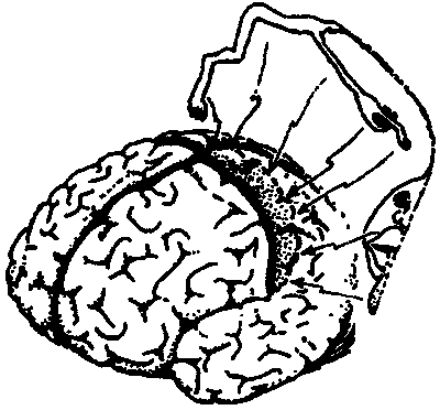 Новый ум короля: О компьютерах, мышлении и законах физики i_214.png