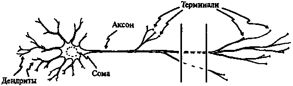 Новый ум короля: О компьютерах, мышлении и законах физики i_219.png