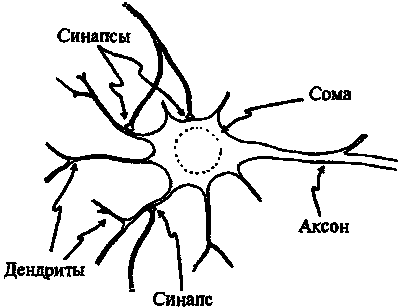 Новый ум короля: О компьютерах, мышлении и законах физики i_220.png