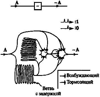 Новый ум короля: О компьютерах, мышлении и законах физики i_226.png