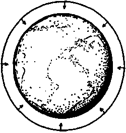 Новый ум короля: О компьютерах, мышлении и законах физики i_102.png