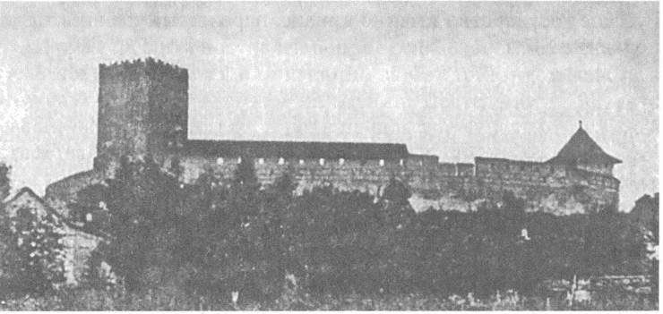 Литовско-Русское государство в XIII—XVI вв. i_060.jpg