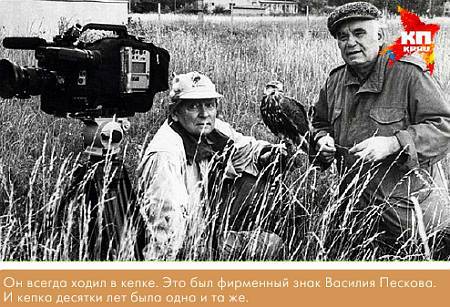 Окно в природу _04.jpg