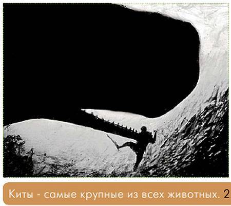 Окно в природу _44.jpg