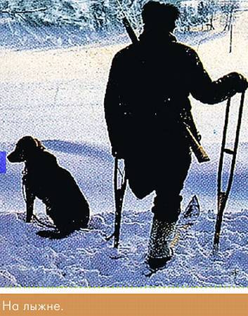 Окно в природу _50.jpg