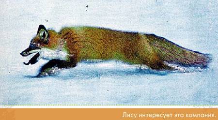 Окно в природу _69.jpg