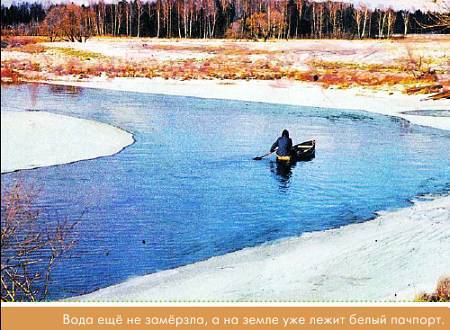 Окно в природу _81.jpg