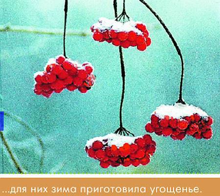 Окно в природу _83.jpg