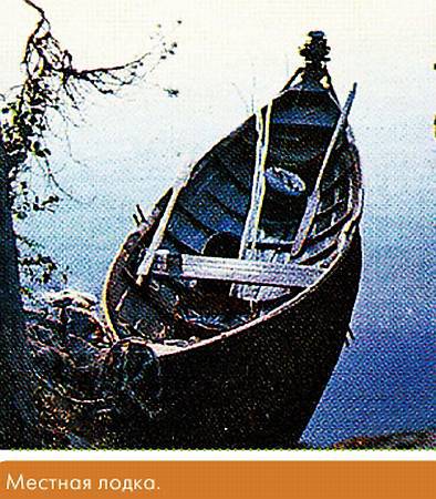 Окно в природу _94.jpg
