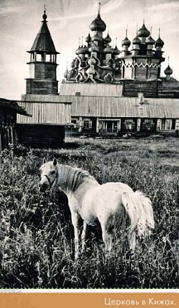 Окно в природу _100.jpg