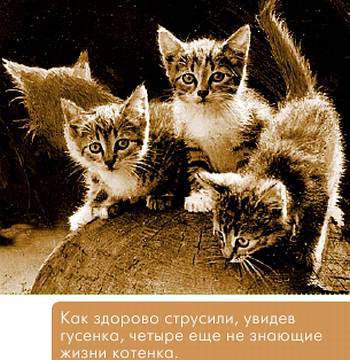 Окно в природу _105.jpg