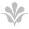 Covet _4.jpg