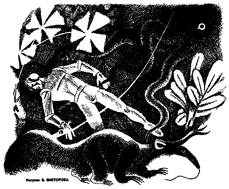Звездный егерь (сборник) i_003.png