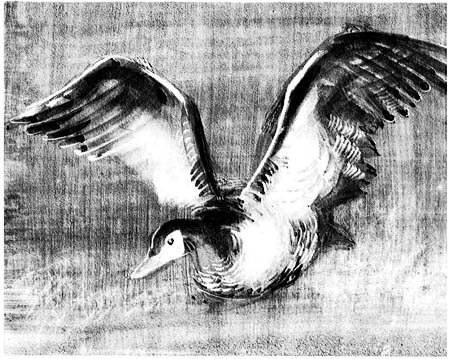 Звездный егерь (сборник) i_006.jpg