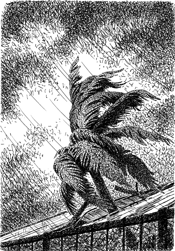 Рассказы i_011.jpg
