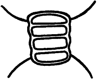Занимательная ботаника i_044.jpg