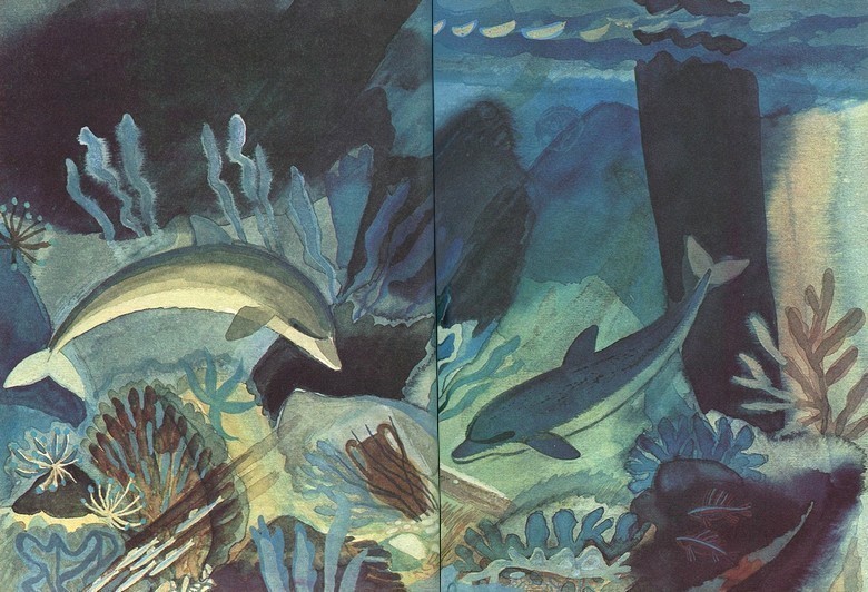 Дельфиния i_010.jpg