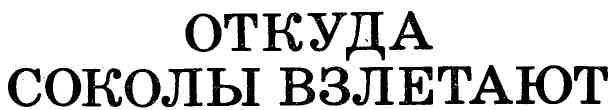 Откуда соколы взлетают img_3.jpeg