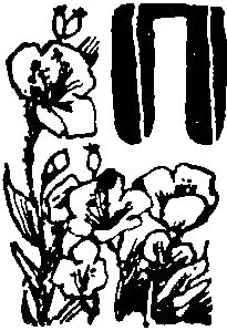 Алики-малики i_019.png