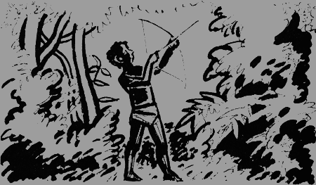 Черный феникс. Африканское сафари img15.png