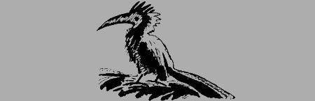 Черный феникс. Африканское сафари img17.png