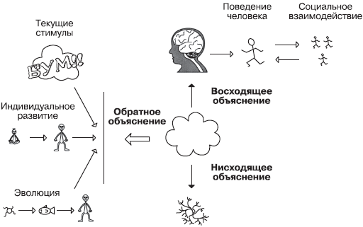 Психология сознания _32.jpg