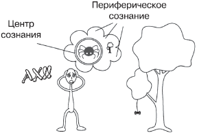 Психология сознания _11.jpg