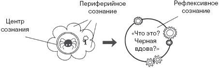 Психология сознания _12.jpg