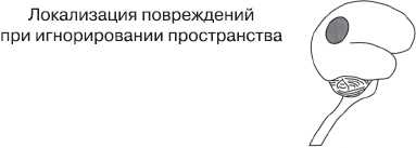 Психология сознания _16.jpg