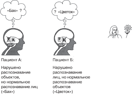 Психология сознания _18.jpg