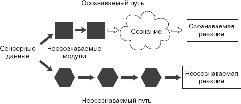 Психология сознания _23.jpg