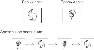 Психология сознания _27.jpg