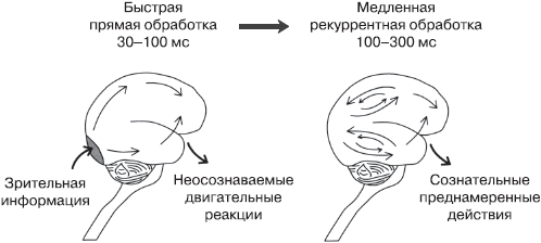 Психология сознания _29.jpg