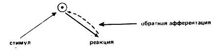 Естествознание, философия и науки о человеческом поведении в Советском Союзе i_011.jpg