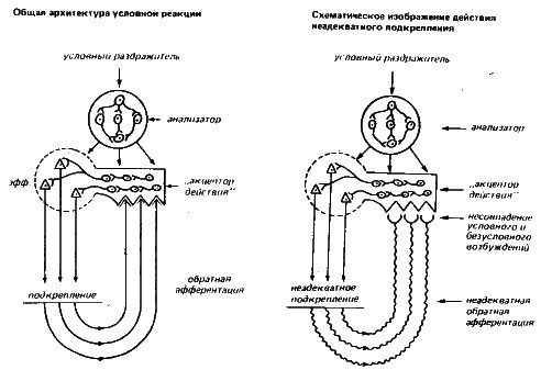 Естествознание, философия и науки о человеческом поведении в Советском Союзе i_015.jpg
