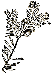 Маленькие дикари (др. перевод) i_046.png