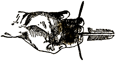 Маленькие дикари (др. перевод) i_049.png