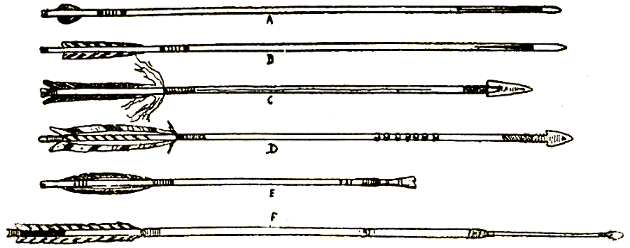 Маленькие дикари (др. перевод) i_051.png