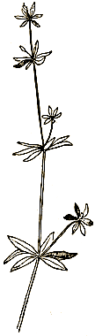 Маленькие дикари (др. перевод) i_060.png